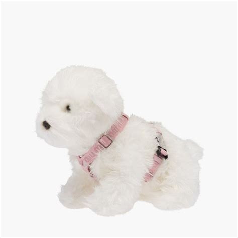 miu miu dog accessories|Miu Miu accessories for Women .